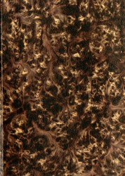 Opusculum de bombyce Spread 0 cover