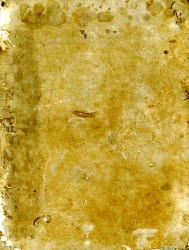 Tractatus de Febribus Spread 0 cover